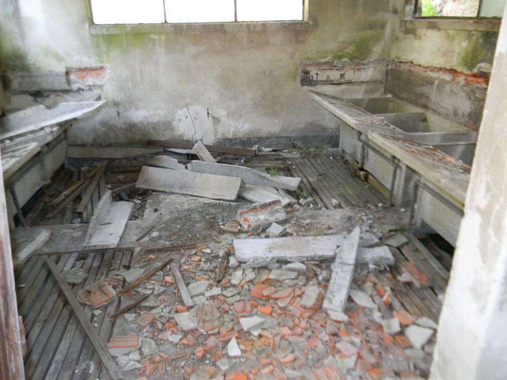 Bassiniana: tra archeologia industriale e problemi odierni