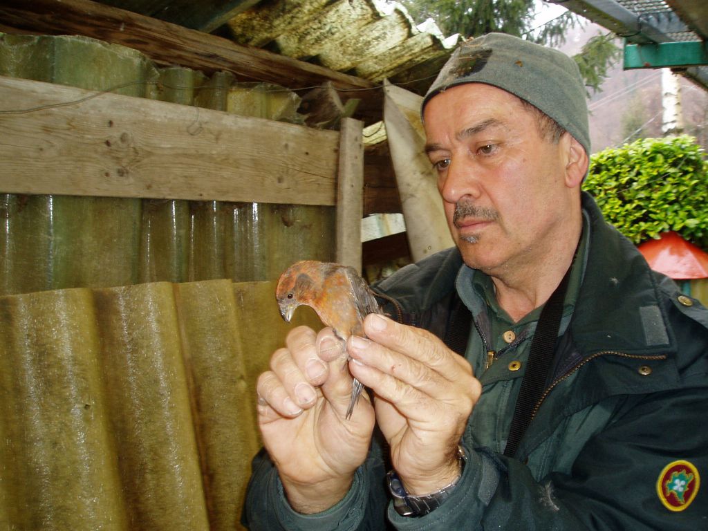 Anti-bracconaggio: imponente sequestro, cacciatore nei guai