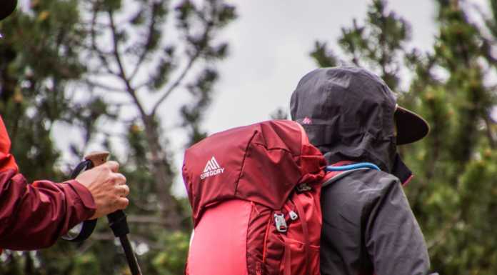 Monti Sorgenti 2021 | Domenica l’escursione “Rispetta la natura. L’arte e il bosco in dialogo” passeggiate montagna trekking