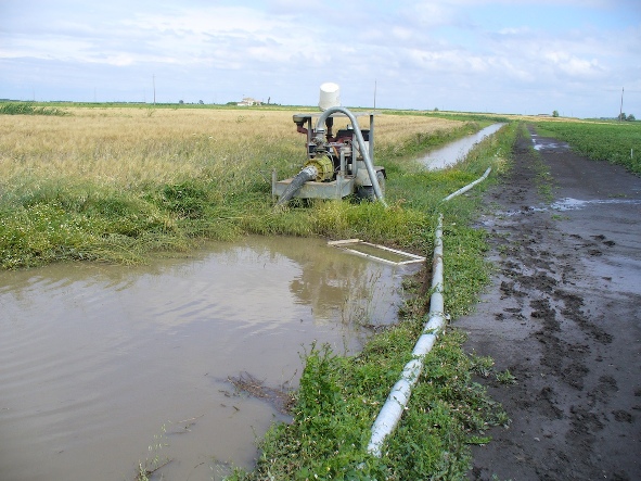 Maltempo: Coldiretti chiede provvedimenti per gli agricoltori