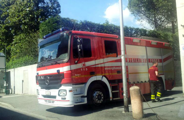 Una biscia s’infila nel motore di un’auto, Vigli del Fuoco al lavoro