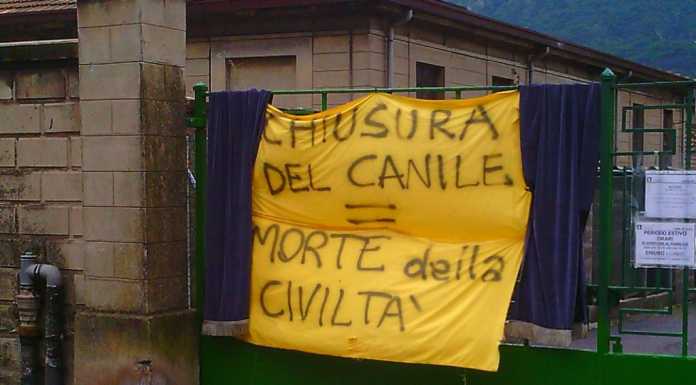 Canile, Venturini: “Sicura un’ulteriore proroga di un mese”