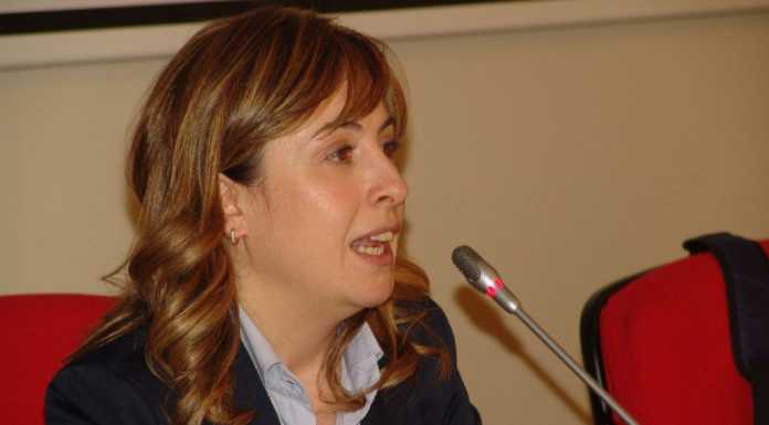 Canile. la veterinaria: “Se trasferiti, i cani rischiano traumi”