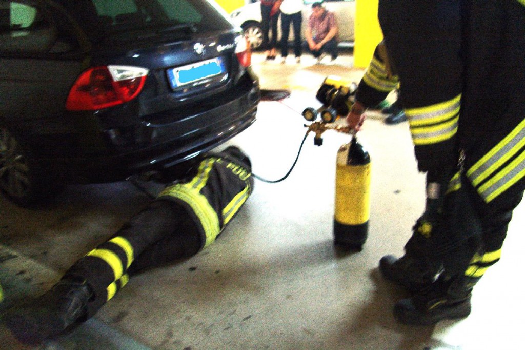 Gattino incastrato in un’auto all’Iperal. Salvato, trova famiglia