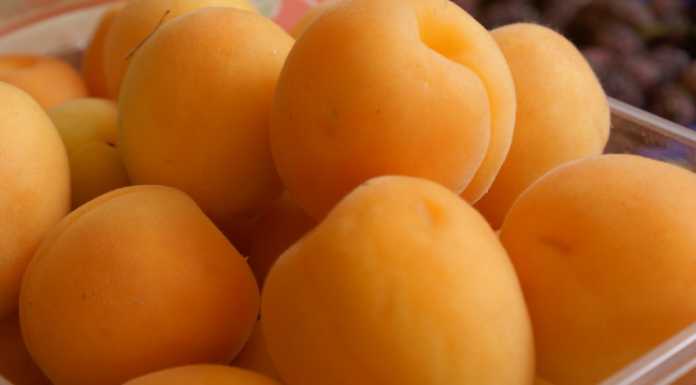 Prezzi a Lecco: “caro” salame, convengono le albicocche