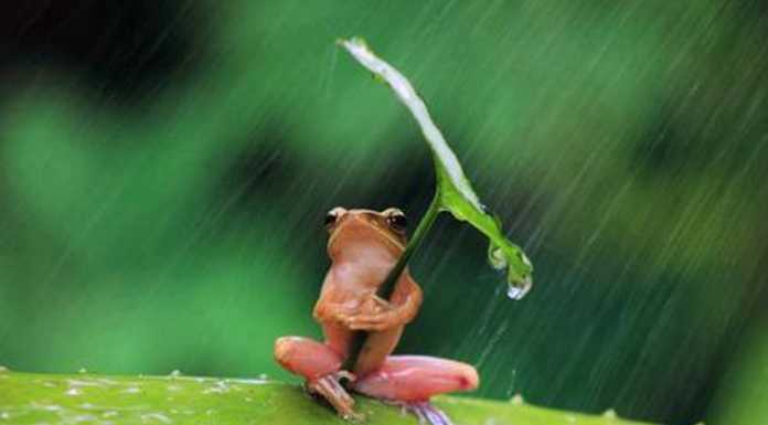 Oggi riposo. Buon Ferragosto dalla Redazione di Lecconotizie.com