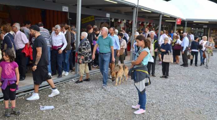Sagra delle Sagre, già superato il tetto dei 100.000 visitatori