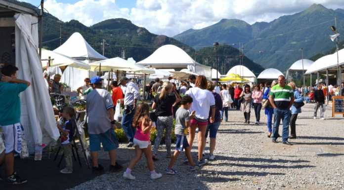 Lavori in corso per la 50° edizione della Sagra delle Sagre