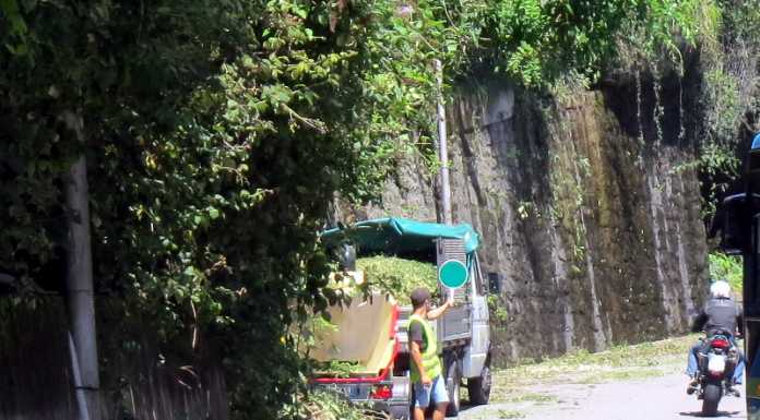 Laorca. Lavori di disboscamento al “Grom” lungo c.so Monte Ortigara