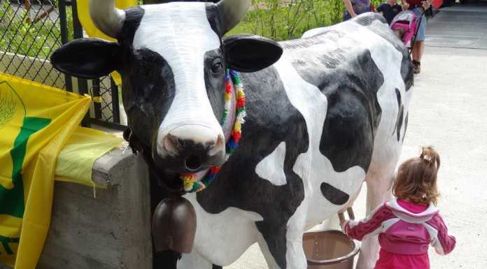 Mercato agricolo di Ballabio, aumentano i clienti e le iniziative