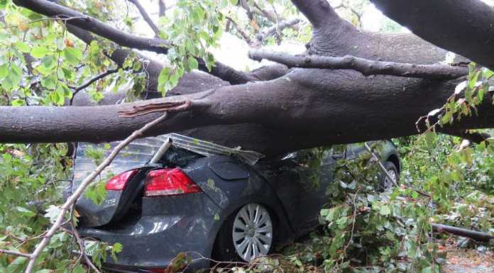 Maltempo e danni, Lecco chiede aiuto a Regione e Governo