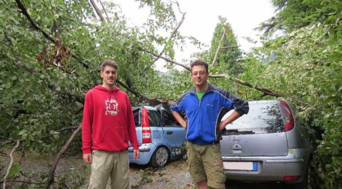 “Come in un film horror: un lampo poi l’enorme faggio che cade…”