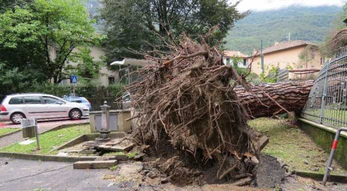 Tromba d’aria su Maggianico e Rivabella, il disastro in 85 foto