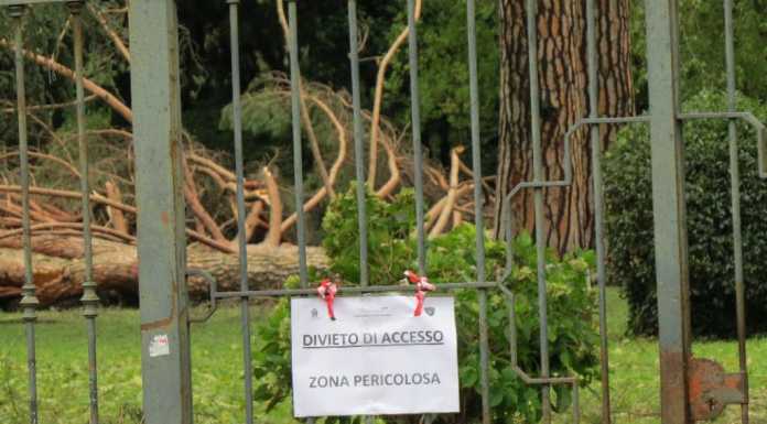 Chiusi i parchi di villa Gomes e Ponchielli: l’ordinanza del sindaco