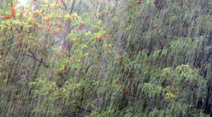 Maltempo: domenica senza pioggia ma l’allerta rimane alta