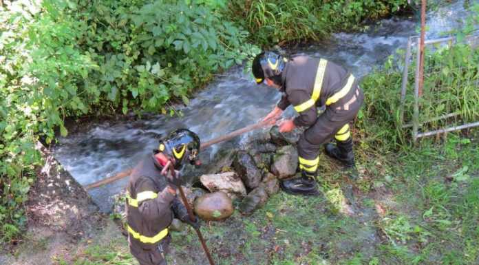 Esonda un piccolo torrente, allagato il cortile della pizzeria Ponte Gallina
