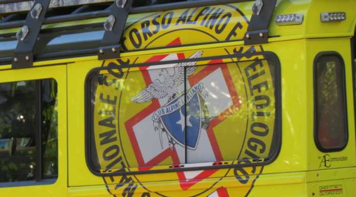 Travolto dalla pianta che stava tagliando, soccorso un 36enne