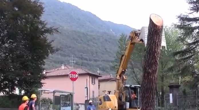 VIDEO – Villa Gomes: operai al lavoro, via gli alberi pericolanti