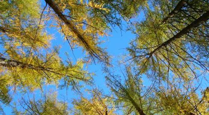 Salutate quest’Estate malandrina, da oggi siamo in Autunno