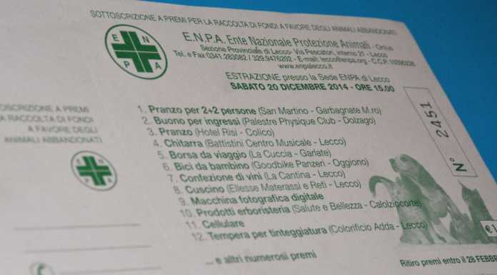 Enpa Lecco: lanciata la lotteria in favore degli animali sfortunati