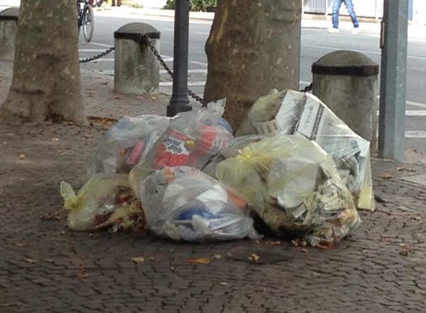 10708143_10202901956685647_356633896_n