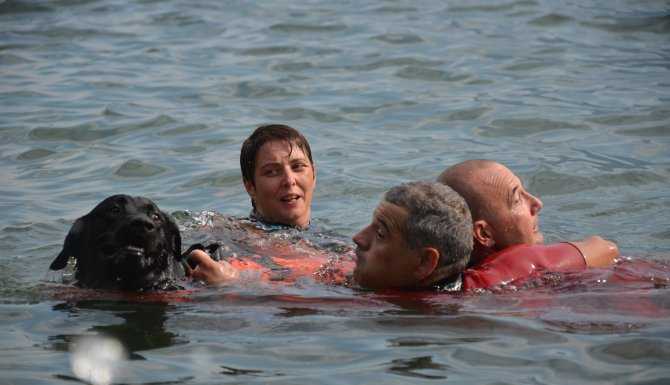 Lierna: domenica spettacolari salvataggi con i cinofili dell’ACSN