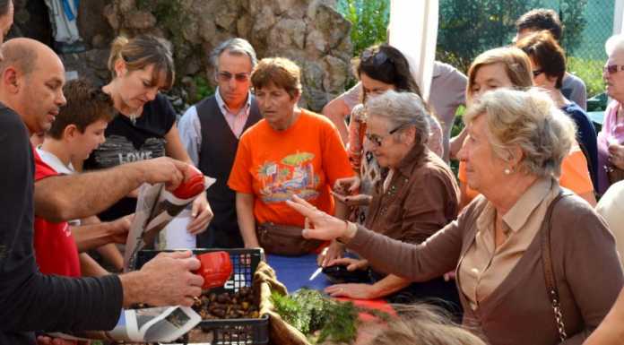 Gran festa all’asilo di Abbadia tra castagne, torte e giochi