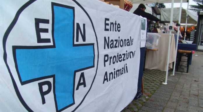 Giornata degli animali: sabato a Lecco e domenica a Paderno