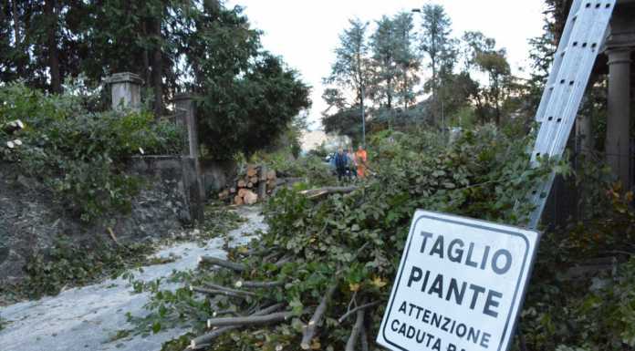 Vento e danni: alberi cadono sulla strada tra Oggiono e Galbiate
