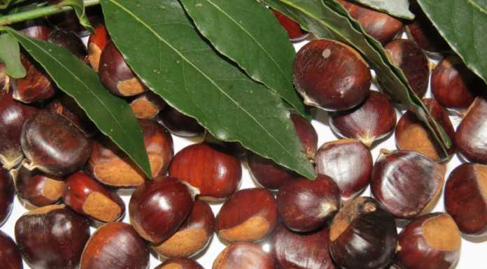 Domenica la burollata benefica organizzata dal Tagme