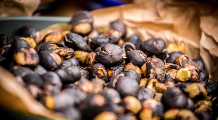 Abbadia, 1-2 novembre Mato Grosso in piazza con la “castagnata”
