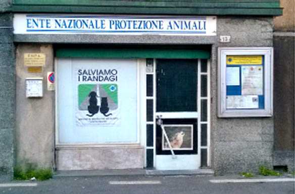 Dopo 40 anni l’Enpa si trasferisce e inaugura la nuova sede