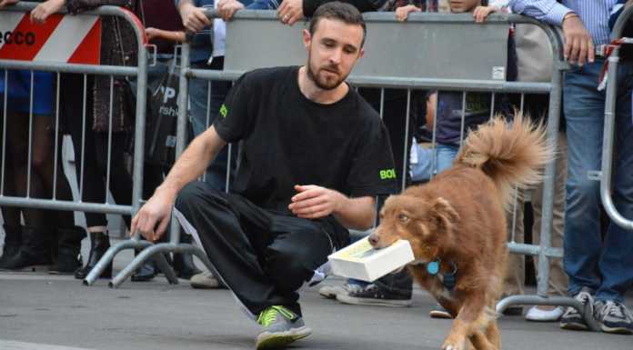 Cagnolini e tamburi in piazza per la Giornata degli animali