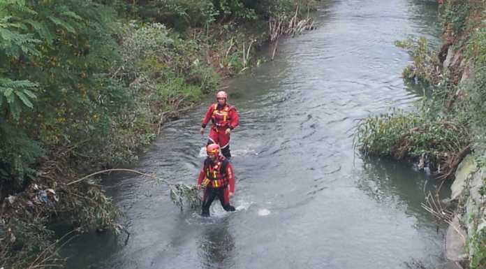 Valmadrera: moria di pesci , Rio Torto inquinato da cianuri
