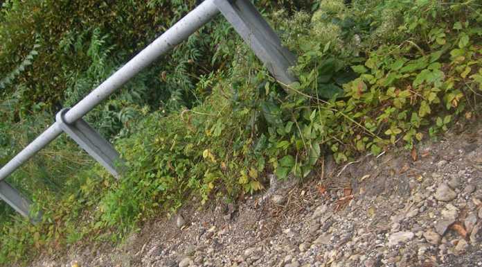 Via Magnodeno: “Inciampando nelle buche mi son rotta il metatarso”