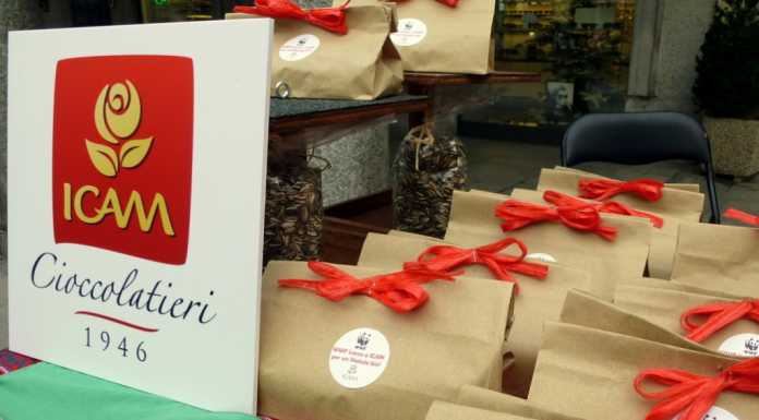 Il cioccolato Icam a sostegno del WWF: i banchetti natalizi