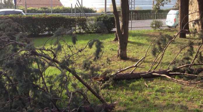 Chiuso: sabato festa per “vivere” il parco, i volontari lo ripuliranno