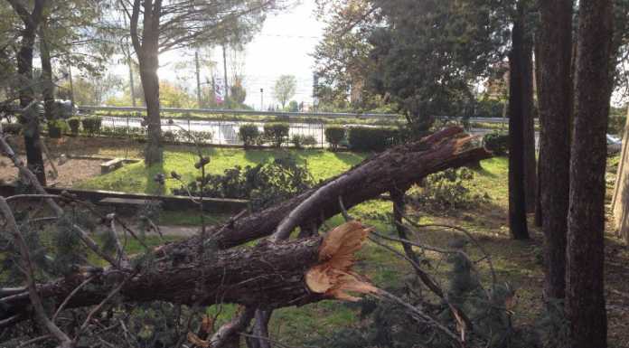 Il parco di Chiuso devastato dal vento “ma nessuno interviene”