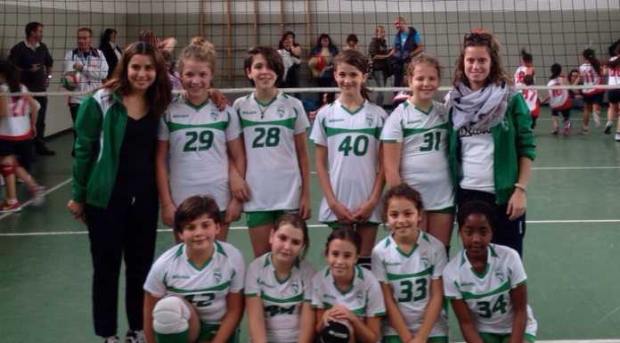 Volley. Bene Lecco Alta vittoriosa con Under 12 e 14