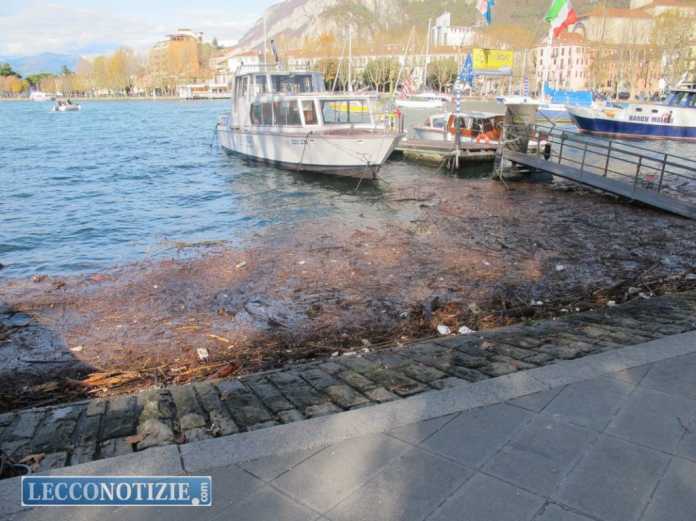 maltempo Lecco 16 nov 2014_1 (4)