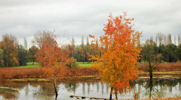 Balisio, Neguggio e Veduggio con le pioggie ecco tre “nuovi” laghi