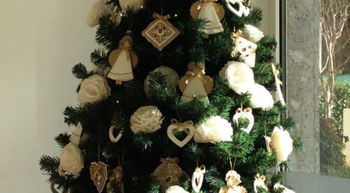 Silea dona un albero natalizio speciale all’istituto Airoldi e Muzzi