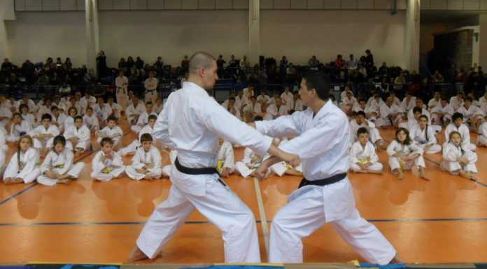 Stage a Mandello, in scena 250 karateki e un maestro olandese