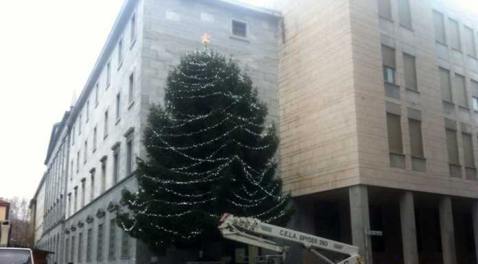 E’ arrivato in piazza Garibaldi il grande albero di Natale