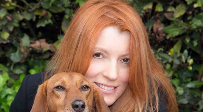 Brambilla risponde a Venturini: “La sinistra ha chiuso il canile”