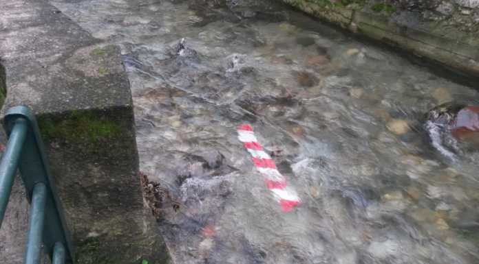 Grazie ai maleducati finiscono nel Caldone transenna e segnaletica