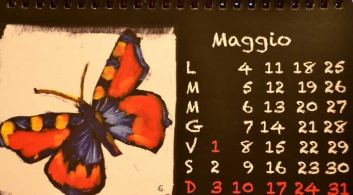 Il calendario 2015 e gli insetti del mandellese Gerardo Gaddi