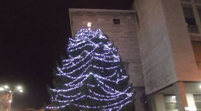 Lecco, acceso l’abete di Natale in piazza: via alle festività