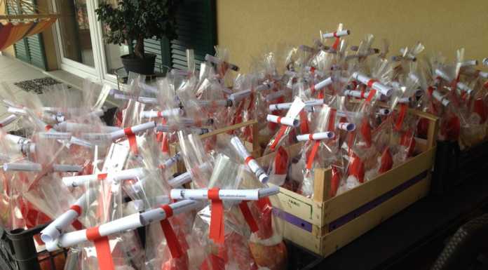 S. Nicolò: pronte le mele per “salvare” il monumento a Stoppani