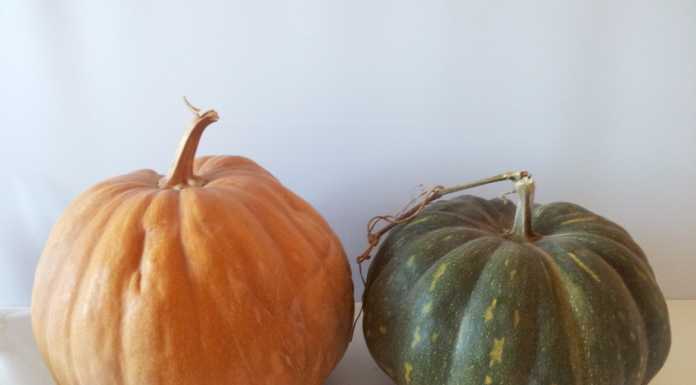 Ponte Vecchio e viabilità, M5S: “E’ una guerra tra due zucche”